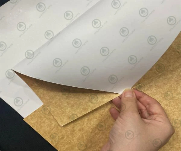 Come scegliere l'imballaggio in cartone più adatto?