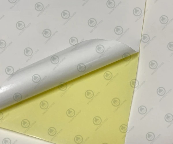 Caratteristiche uniche della carta Glassine colorata