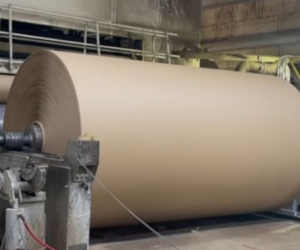 Esplorazione del paesaggio attuale e delle tendenze Future dell'industria della carta