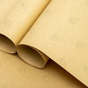 Carta Kraft