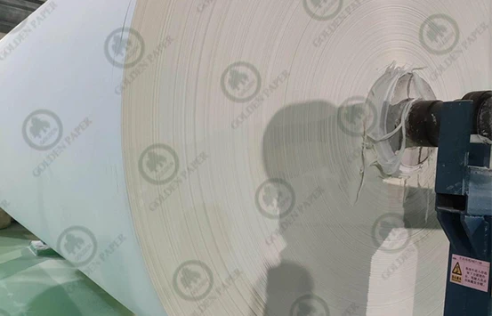 La China Paper Industry Association annuncia una nuova impresa di carta sostenibile
