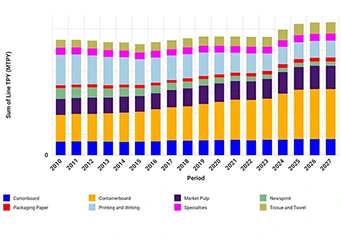 Prospettiva del mercato dell'industria della polpa e della carta europea