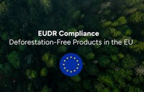 EUDR-nuove opportunità per le aziende di carta cinesi nel mercato europeo