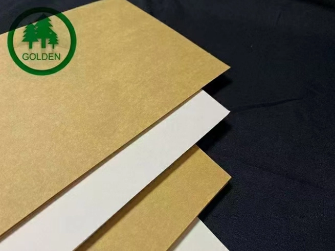 La sostituzione della plastica con la carta guida una nuova richiesta e le aziende di carta accelera il layout della capacità di produzione di carta speciale