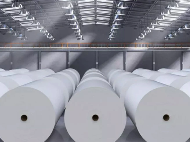 Industria della carta da gennaio a novembre 2024