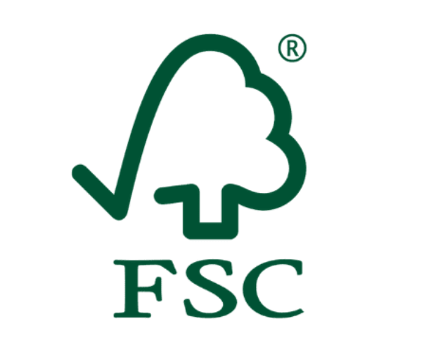 Cos'è la carta certificata FSC? Una scelta di carta sostenibile ed ecologica