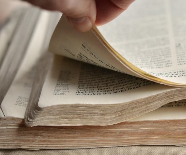 圣经纸应用.jpg 圣经纸应用.jpg