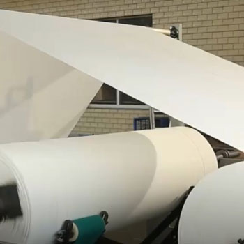 Clean Comfort inizia qui-carta igienica di carta dorata