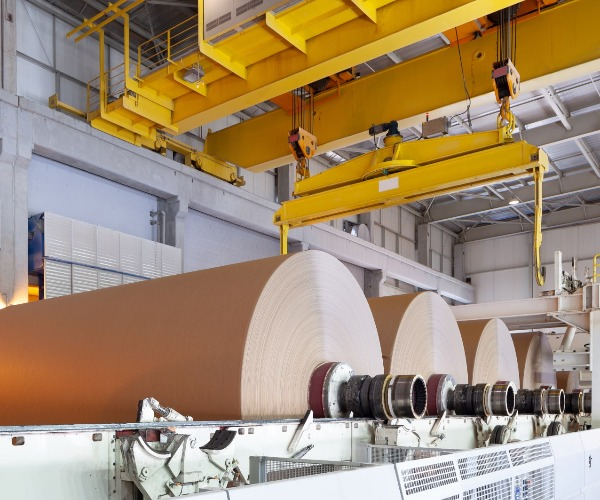 Quali sono le materie prime utilizzate nella fabbricazione della carta?