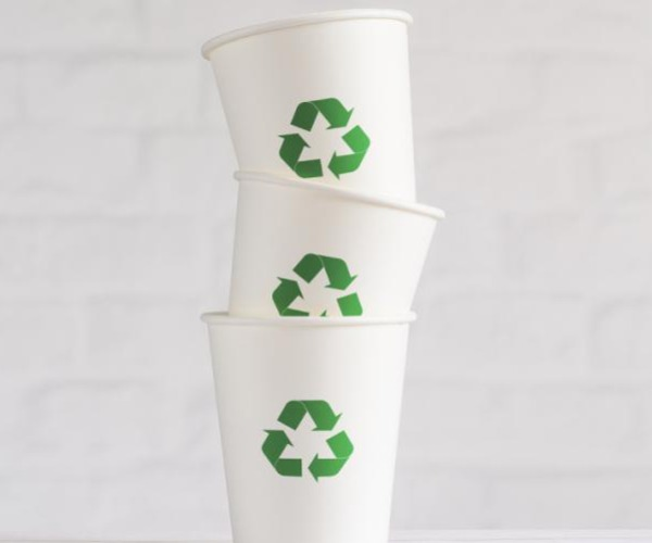 Una guida completa ai tipi di carta utilizzati negli imballaggi alimentari