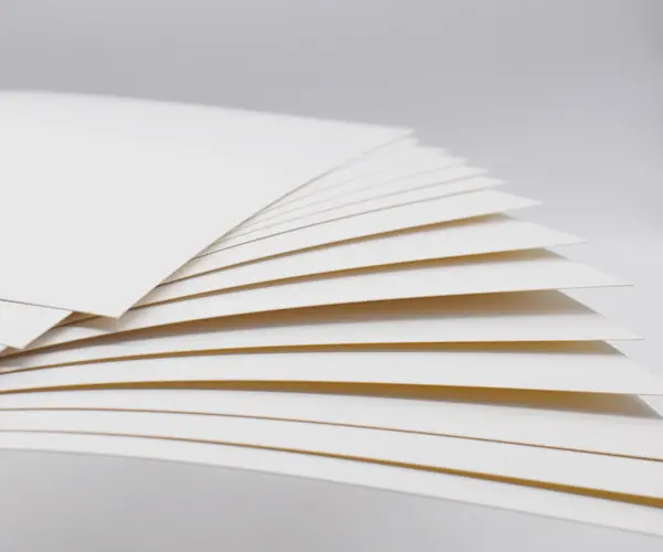 Solid sbiancato solfato (SBS) vs scatola pieghevole (FBB): qual è la differenza nell'imballaggio del cartone?