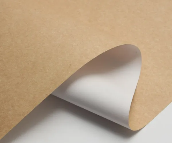 Perché CKB diventa sempre più popolare