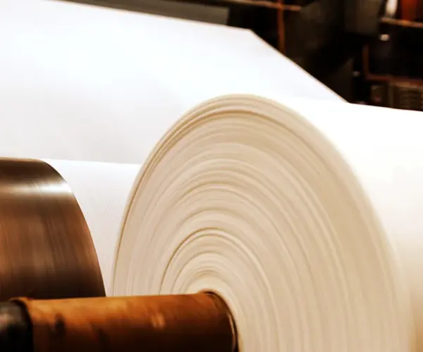 Qual è la differenza tra polpa e carta?