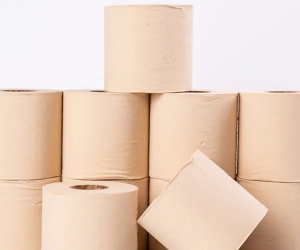 Fornitura di polpa di bambù e sistema di controllo della qualità