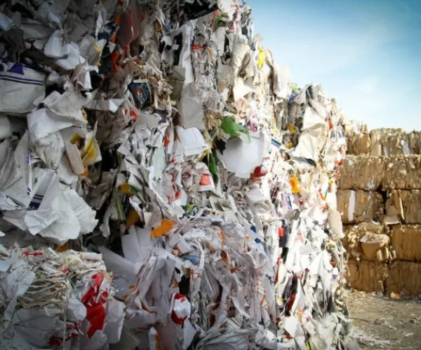 Caratteristiche delle fiber di polpa riciclata