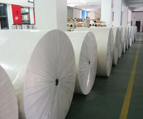 I prezzi della carta globale salgono in Q3 2025: la carta dorata risponde con stabilità e fornitura affidabile