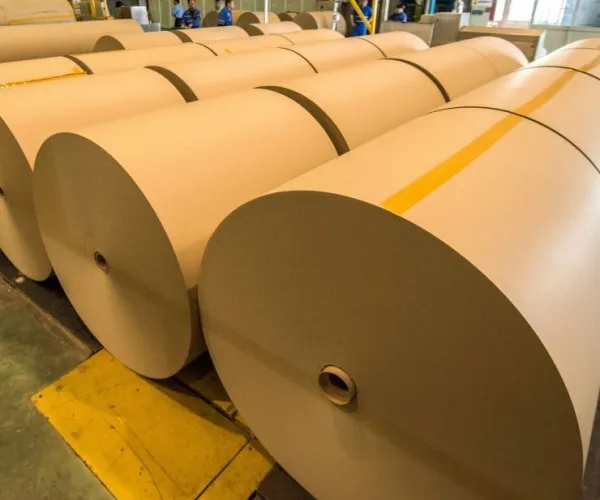 absorbent kraft paper 3