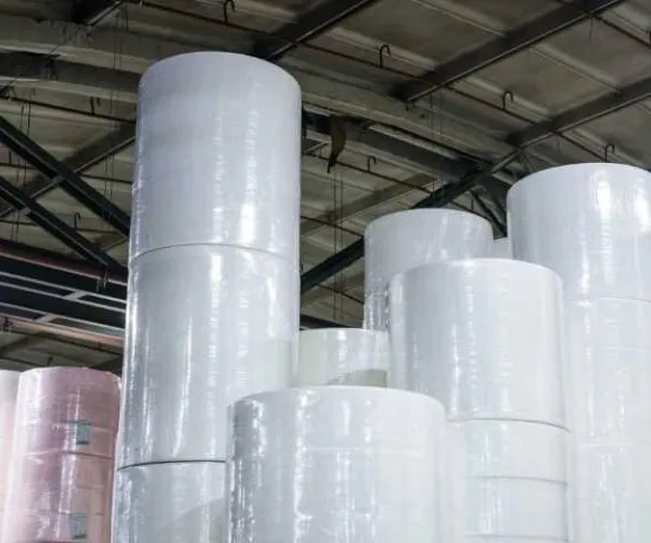 I prezzi della carta velina di dicembre sfidano la stagionalità: i costi della polpa in aumento guidano una tendenza modesta