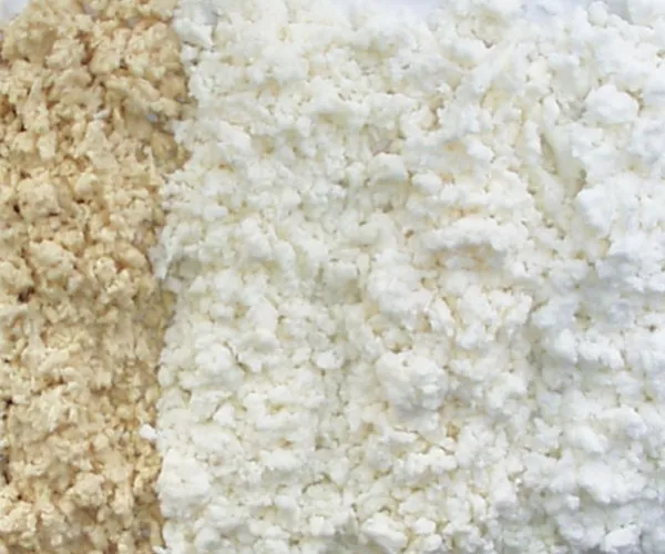 Una guida completa ai tipi di polpa e ai loro usi